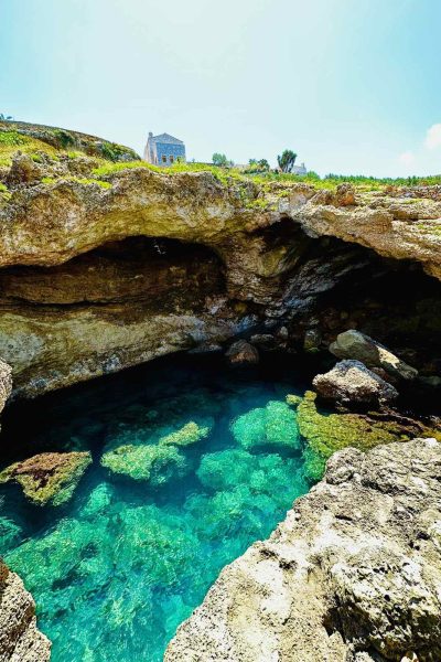 IMG-838befb7603ee1ed203626379a32e472-V